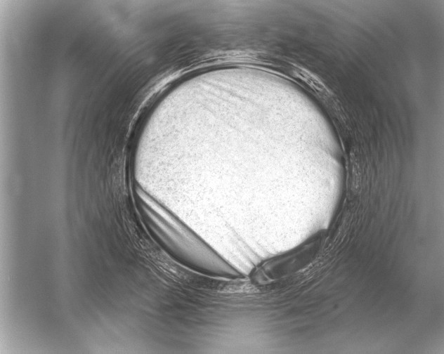 X0000051921174200507222126