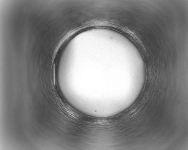 X0000051921175200507222126