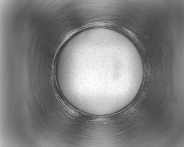 X0000051921178200507222126