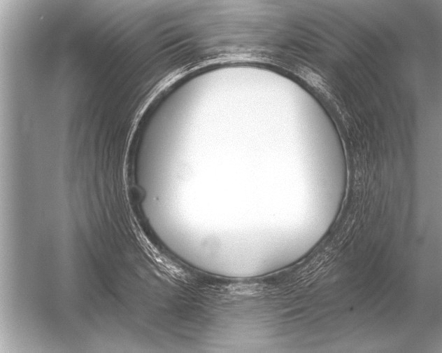 X0000051921181200507222126