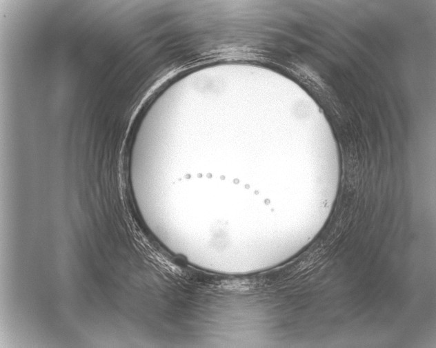 X0000051921182200507222126