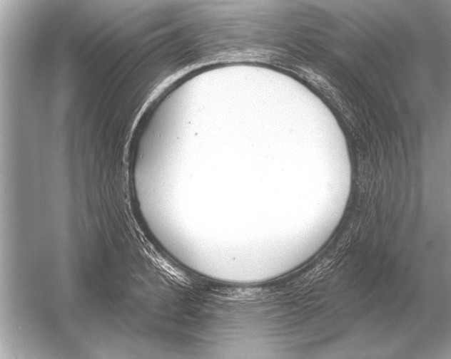 X0000051921184200507222126