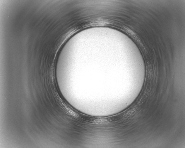 X0000051921186200507222126