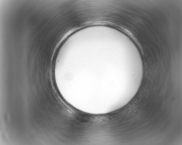 X0000051921187200507222126