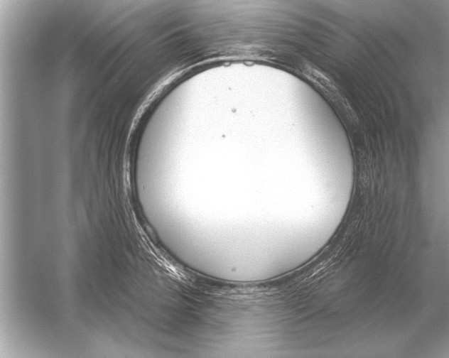 X0000051921188200507222126