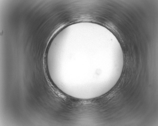 X0000051921190200507222126