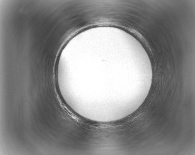 X0000051921191200507222126