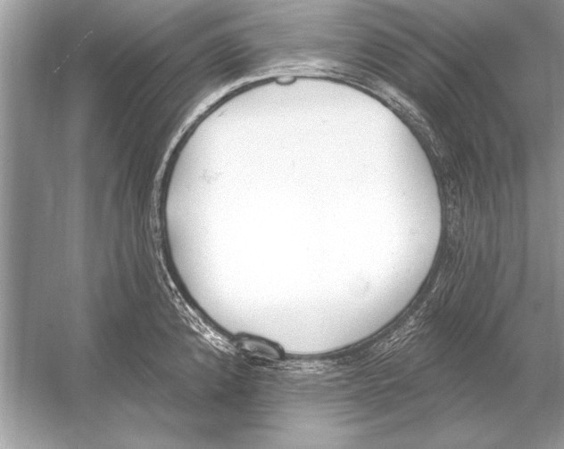 X0000051921192200507222126