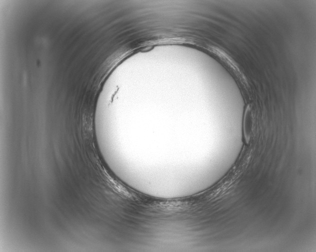 X0000051921193200507222126