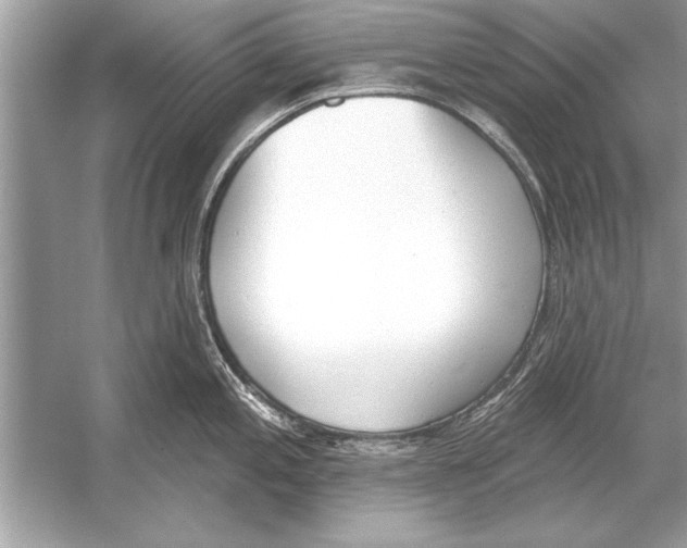 X0000051921197200507222126