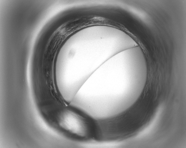 X0000051921199200507222126