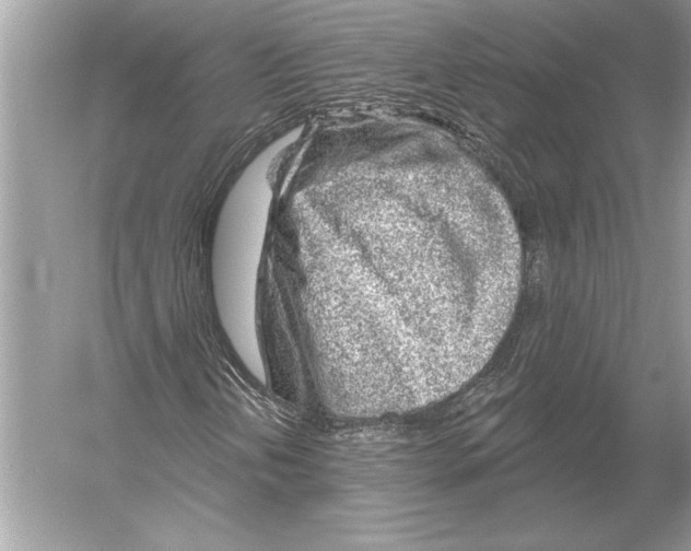 X0000051921202200507222125