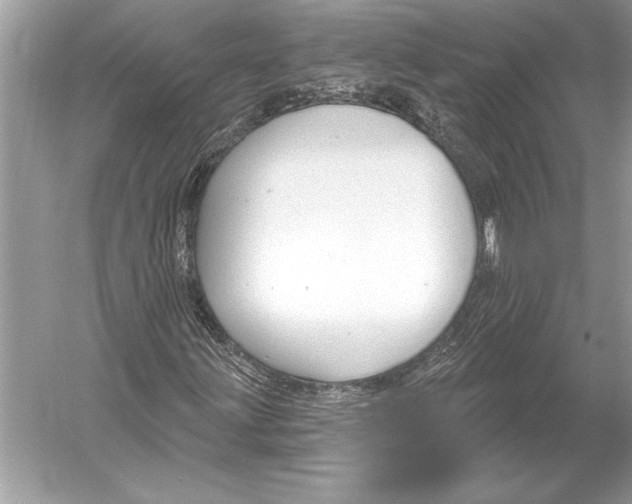 X0000051921203200507222125