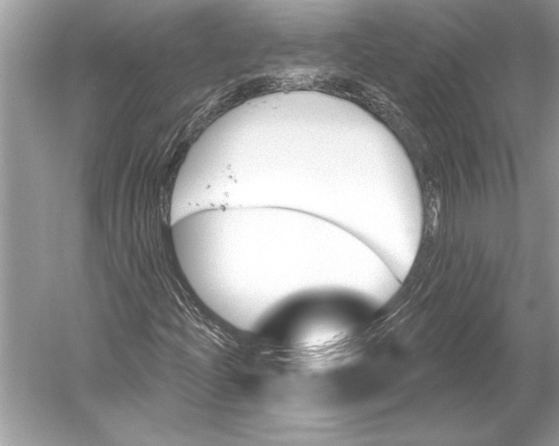 X0000051921204200507222125