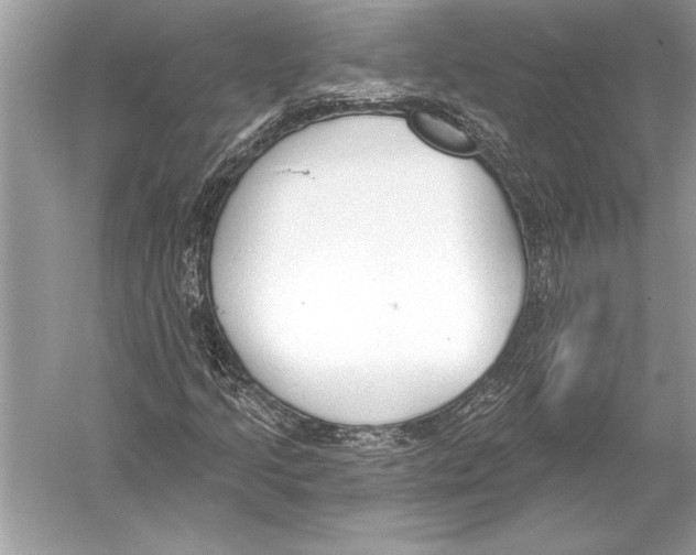 X0000051921205200507222125