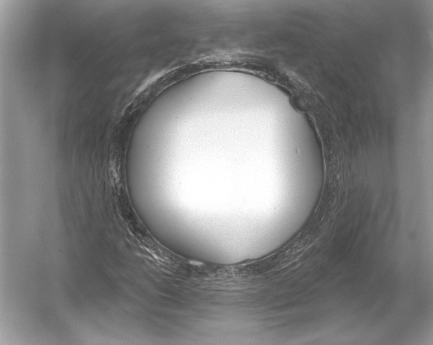 X0000051921206200507222125