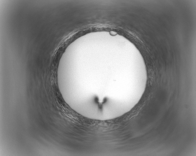 X0000051921207200507222125