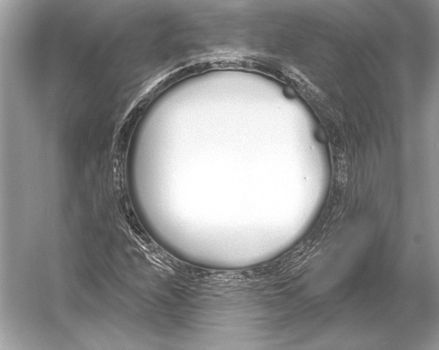 X0000051921208200507222125