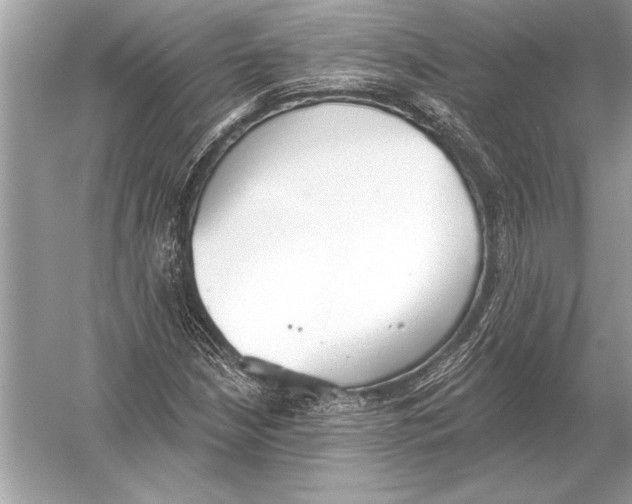 X0000051921210200507222125