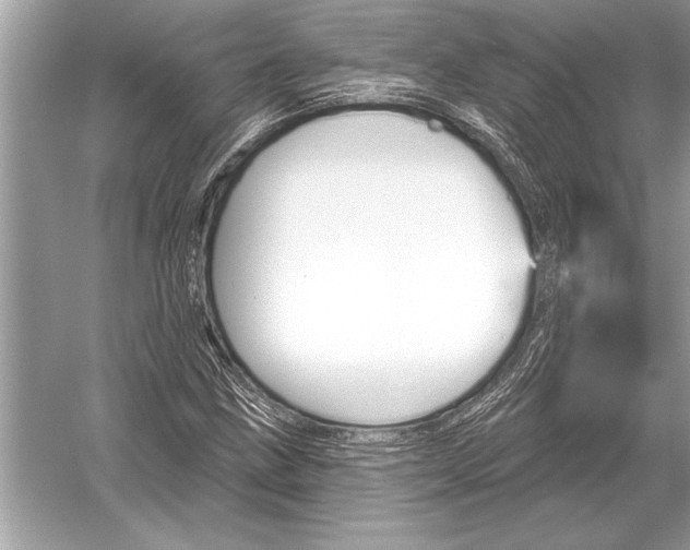 X0000051921211200507222125