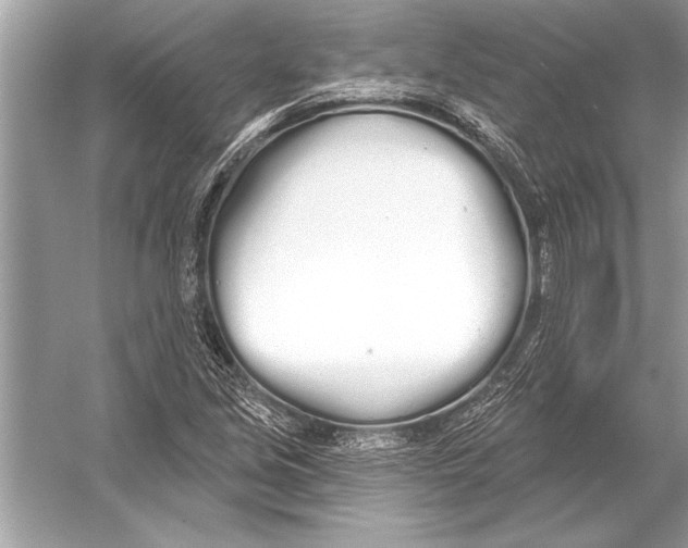 X0000051921213200507222125