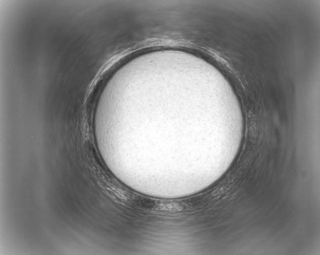 X0000051921215200507222125