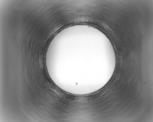 X0000051921217200507222125