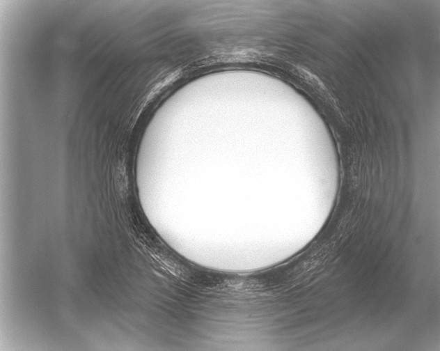 X0000051921218200507222126