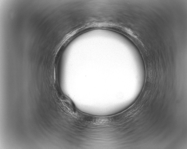 X0000051921221200507222126