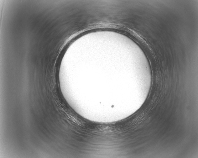 X0000051921222200507222126