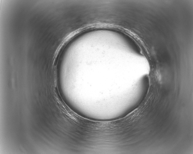 X0000051921223200507222126