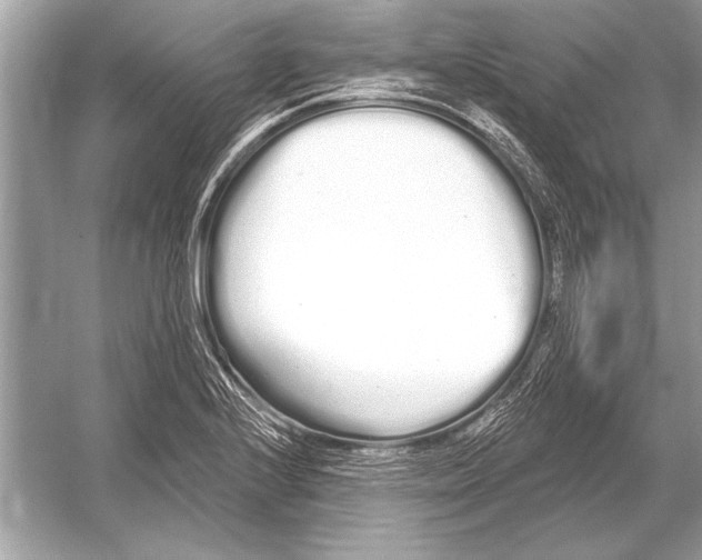 X0000051921224200507222126