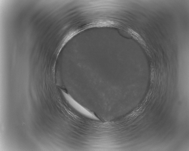 X0000051921226200507222126