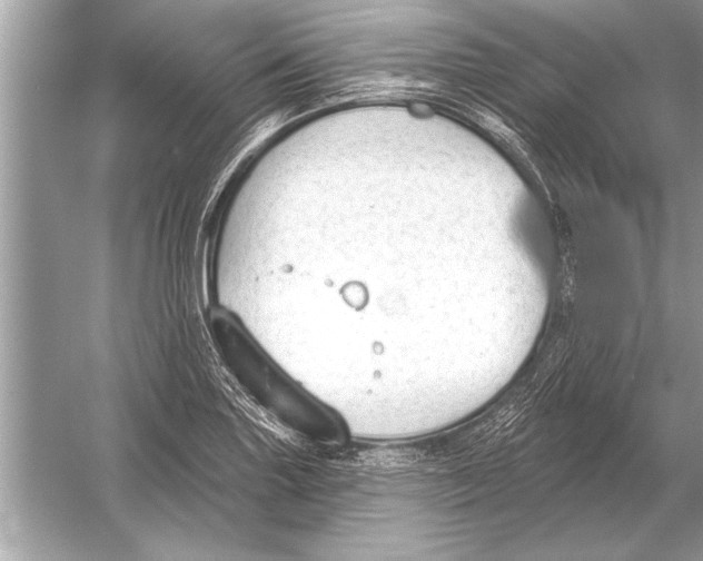 X0000051921227200507222126