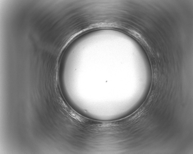 X0000051921228200507222126