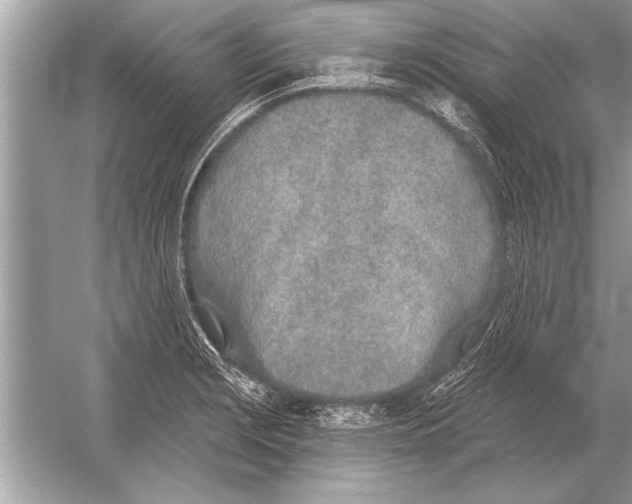 X0000051921229200507222126