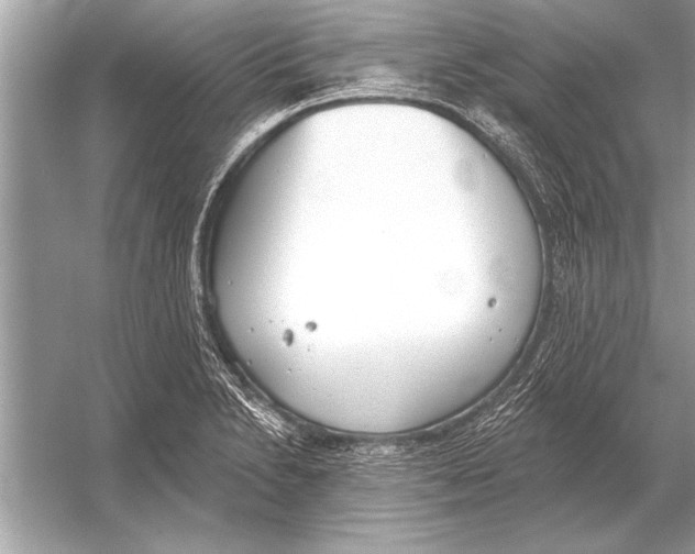 X0000051921230200507222126