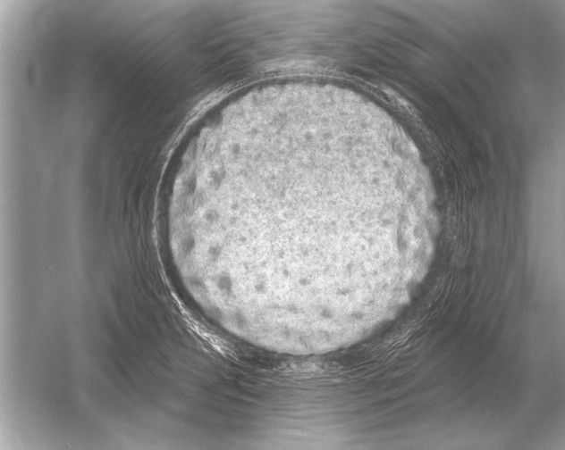 X0000051921231200507222126