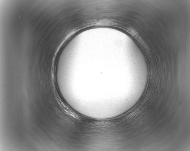 X0000051921232200507222126