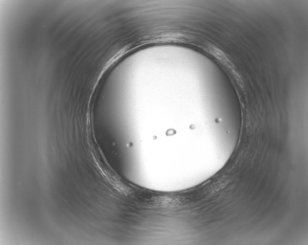 X0000051921234200507222126