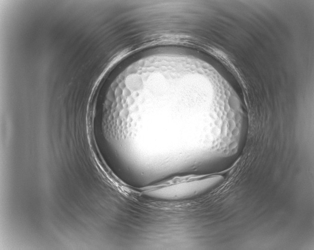 X0000051921235200507222126