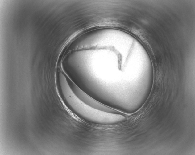 X0000051921237200507222126