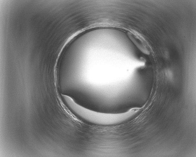 X0000051921238200507222126