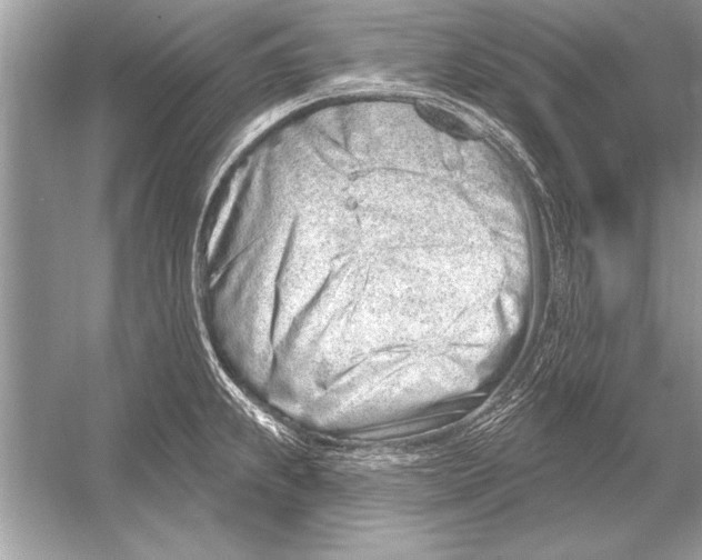 X0000051921239200507222126