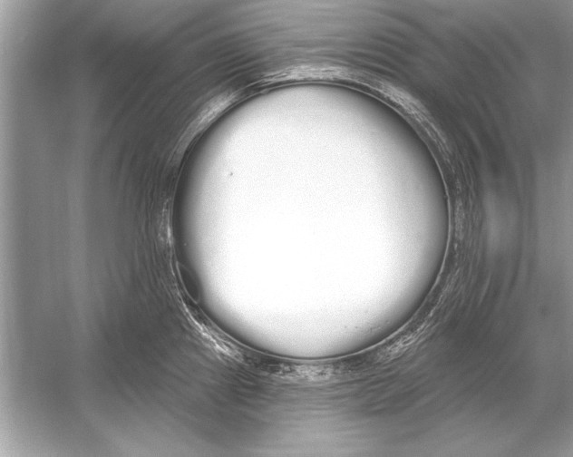 X0000051921241200507222126