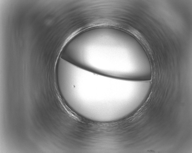 X0000051921242200507222126