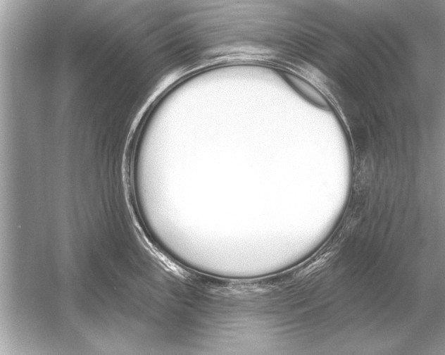 X0000051921243200507222126