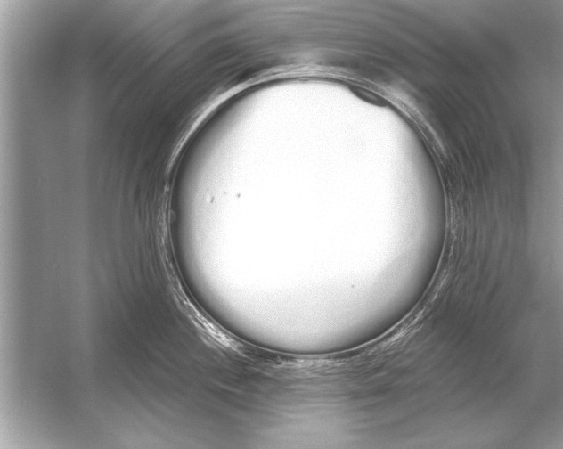 X0000051921244200507222126