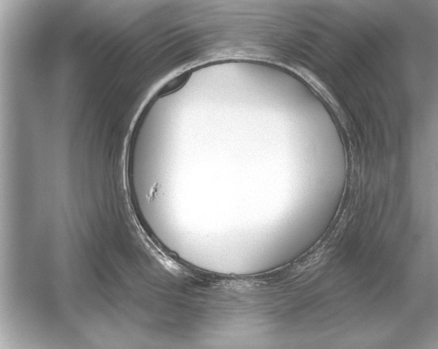 X0000051921246200507222126