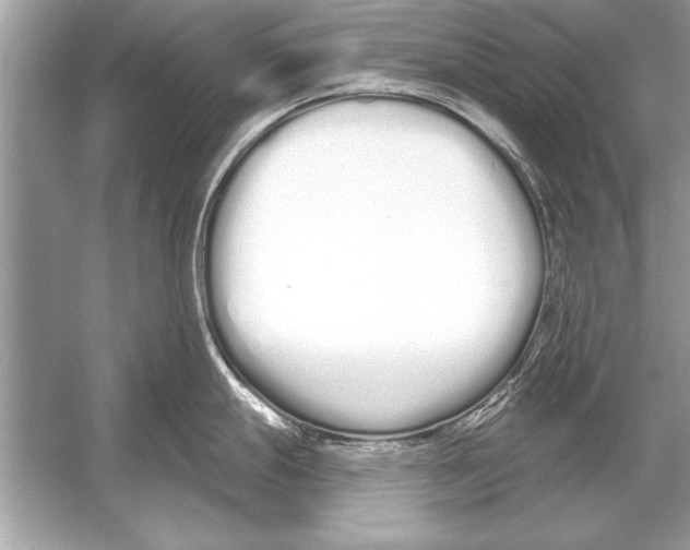 X0000051921247200507222126